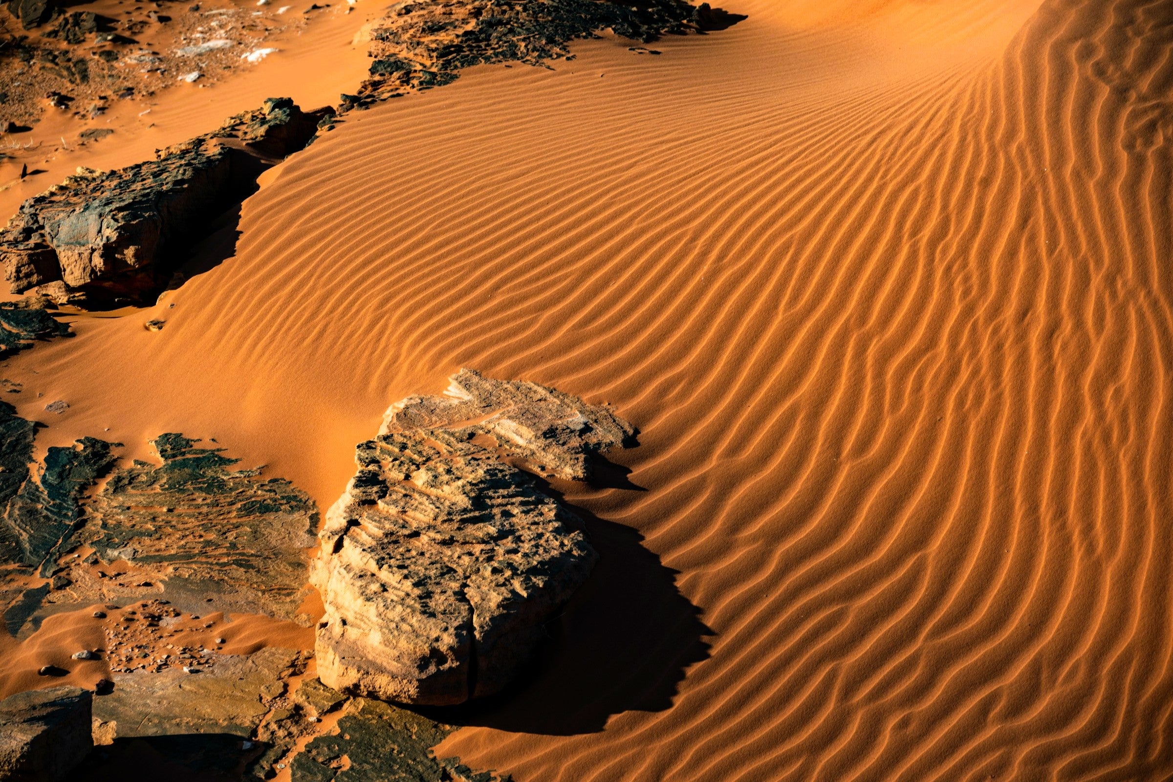 Ongoing Shopify Support